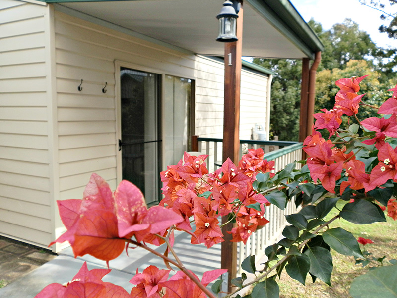 Twin and Queen cottages in Gympie