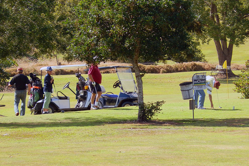Motorised golf carts